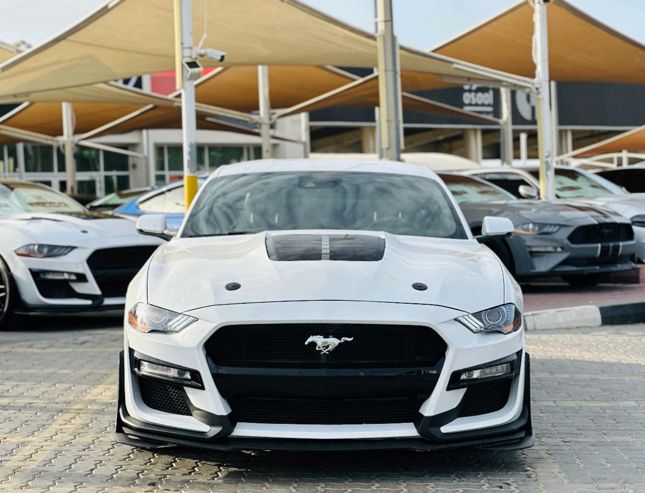 Ford Mustang - Image 4