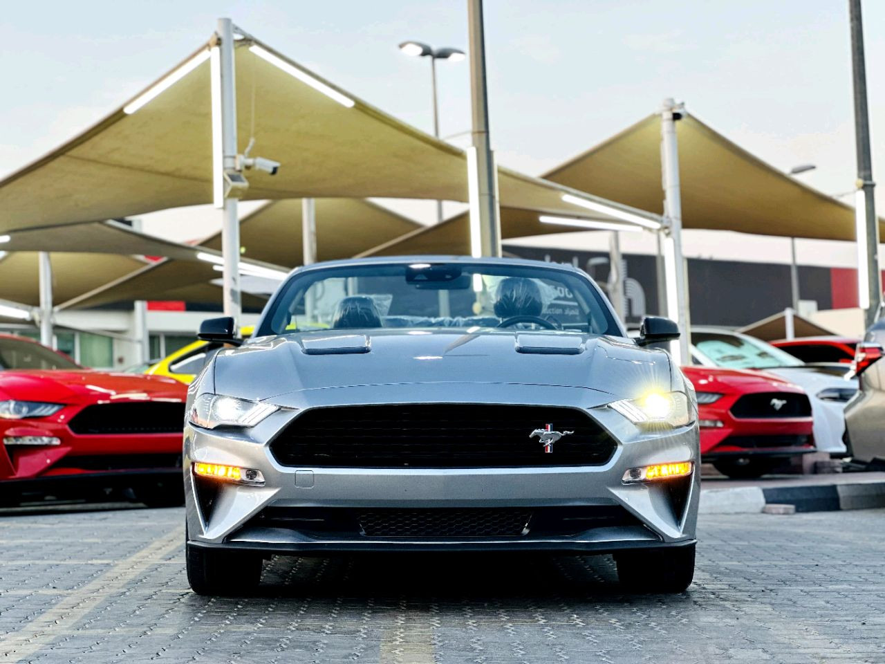 Ford Mustang - Image 4