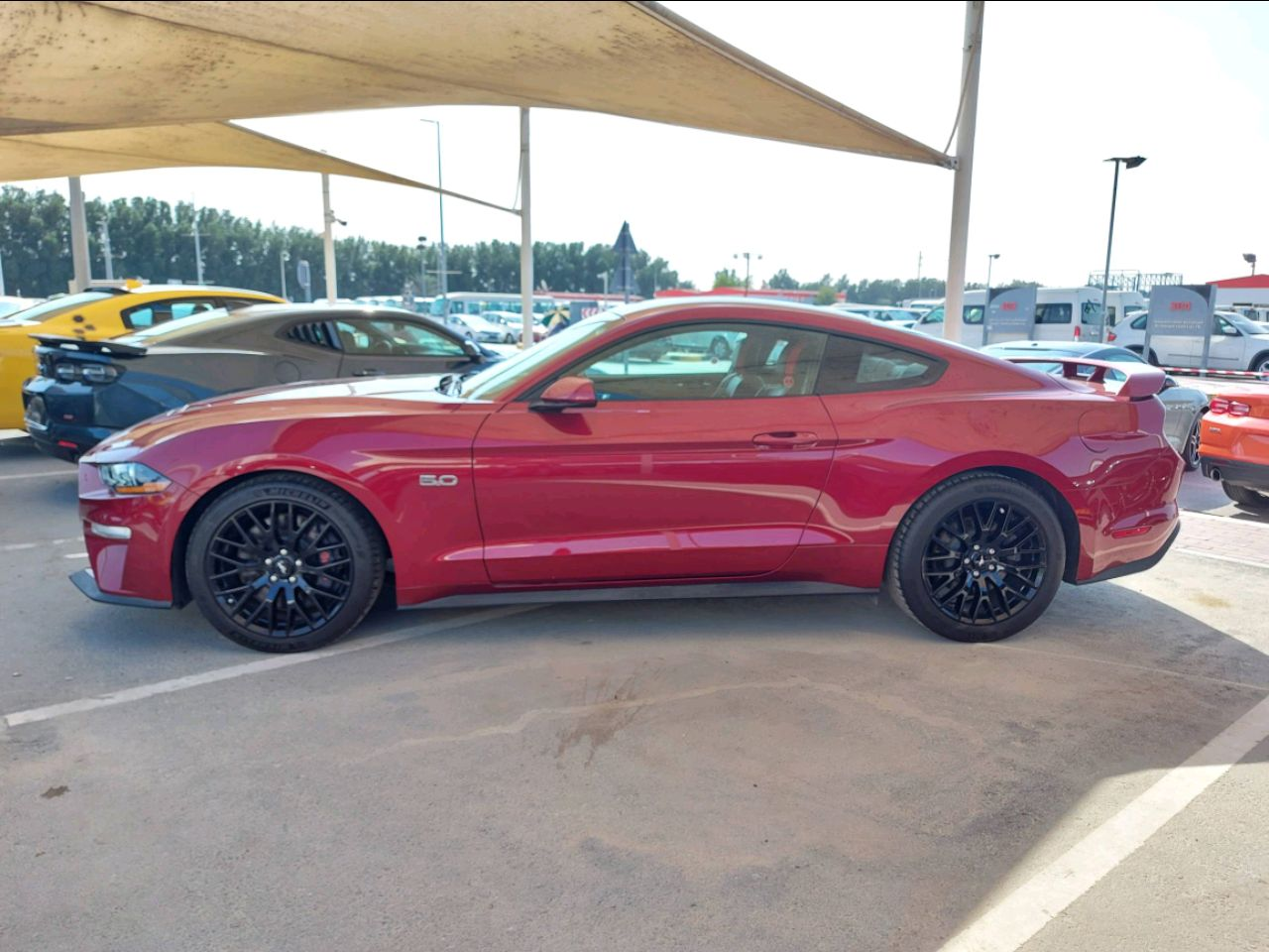 Ford Mustang - Image 5