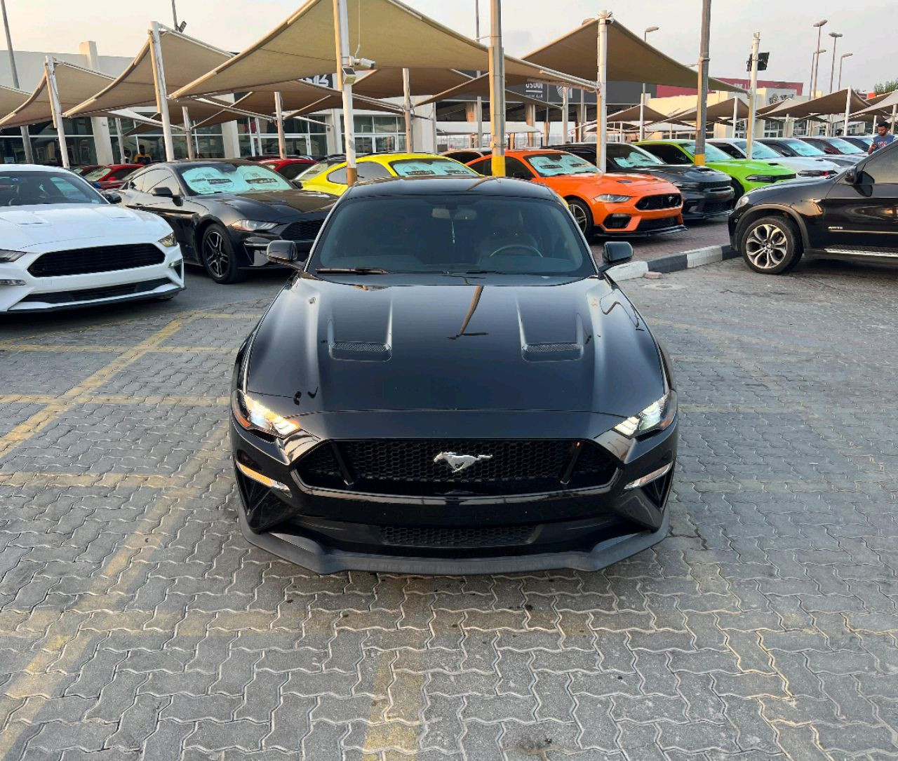 Ford Mustang - Image 4