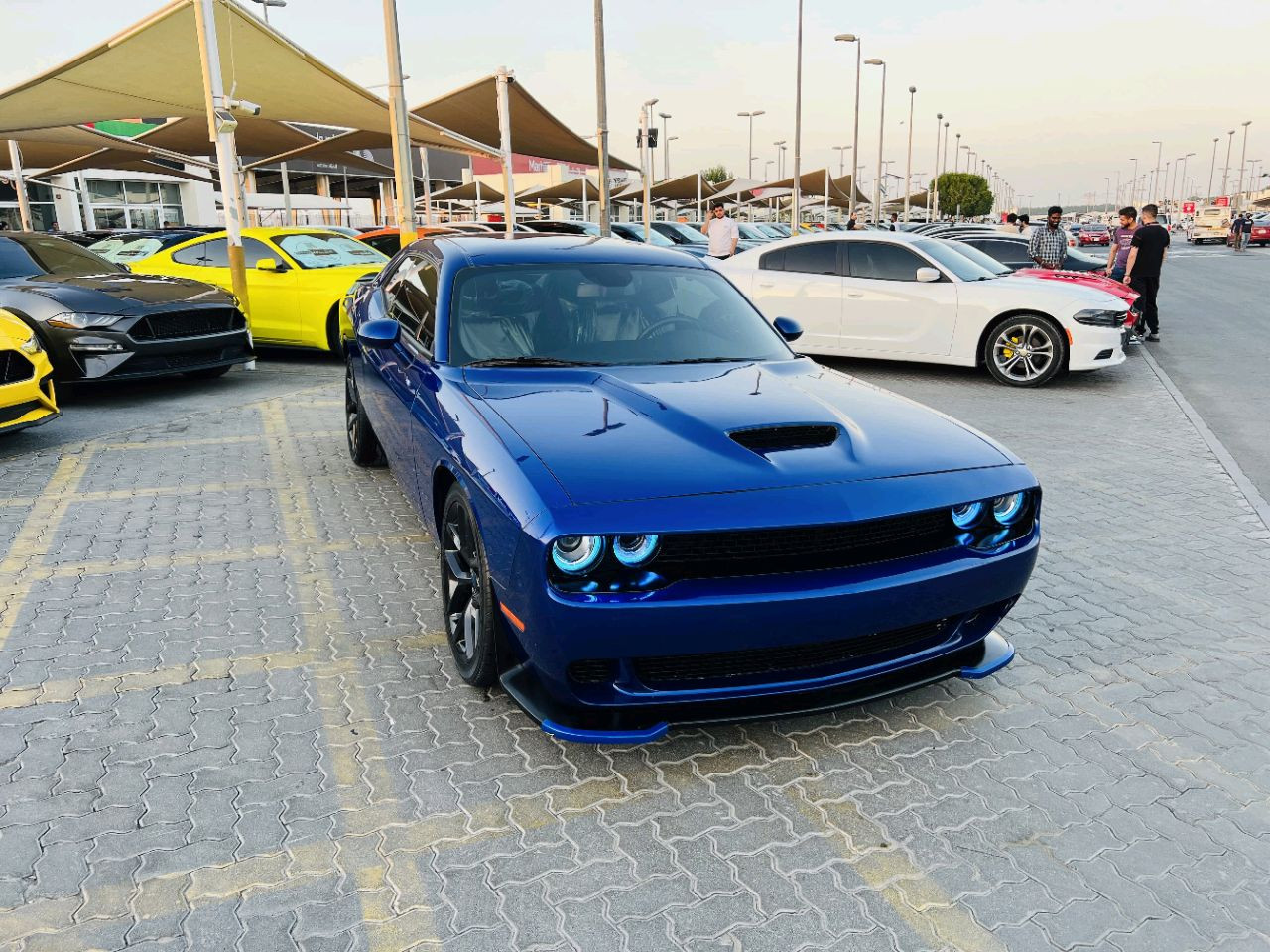 Dodge Challenger - Image 5