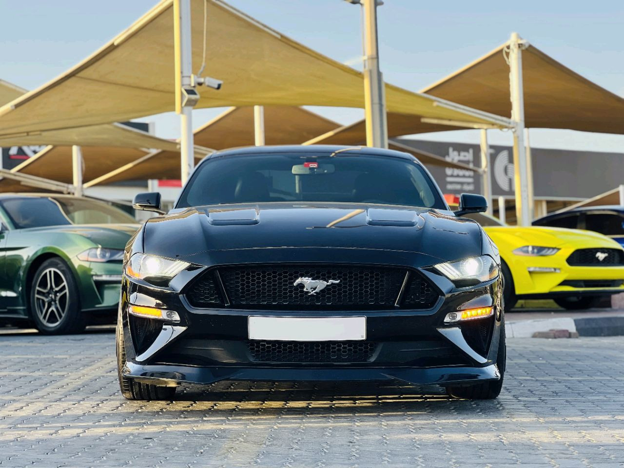 Ford Mustang - Image 2