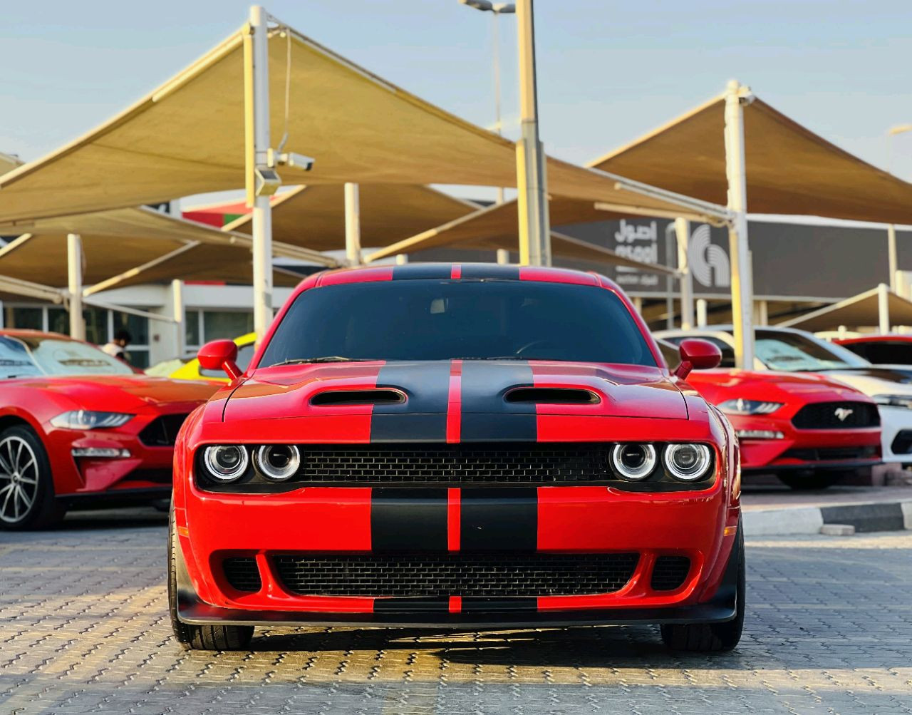 Dodge Challenger - Image 6