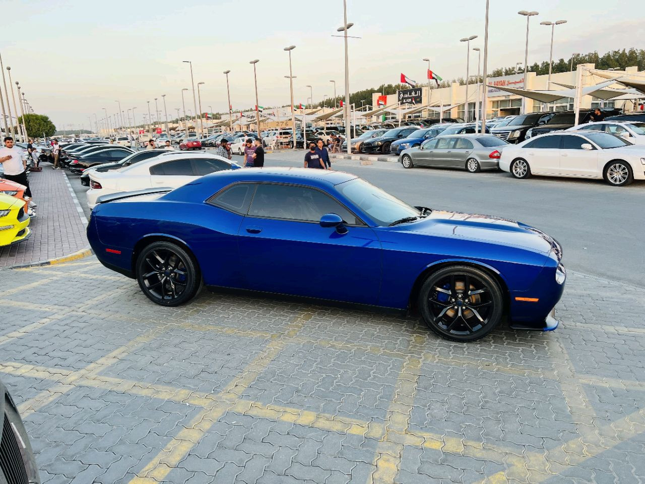Dodge Challenger - Image 6