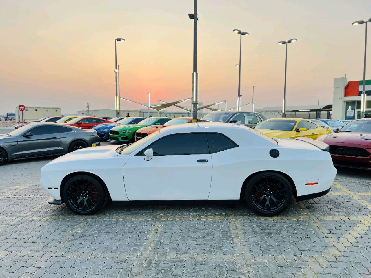 Dodge Challenger - Image 6
