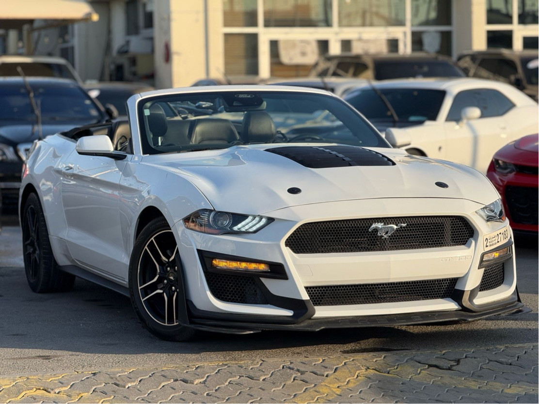 Ford Mustang - Image 3
