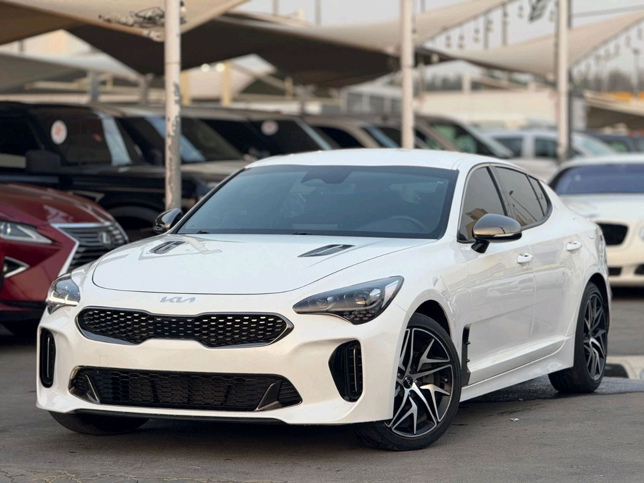KIA Stanger - Image 4