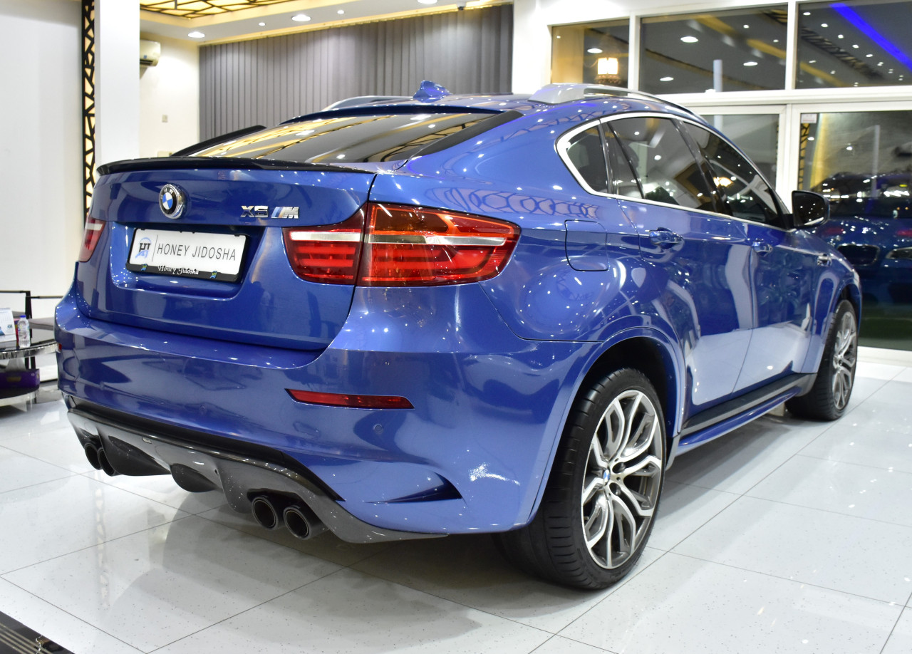 BMW X6 - Image 7