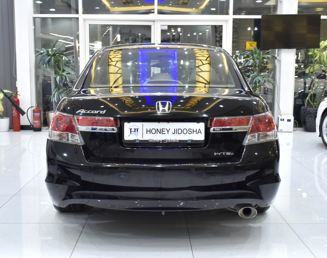 Honda Accord - Image 7
