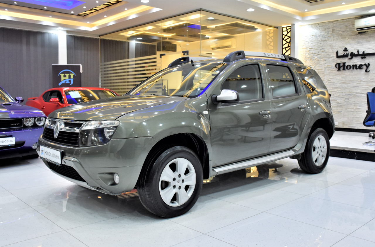Renault Duster - Image 3