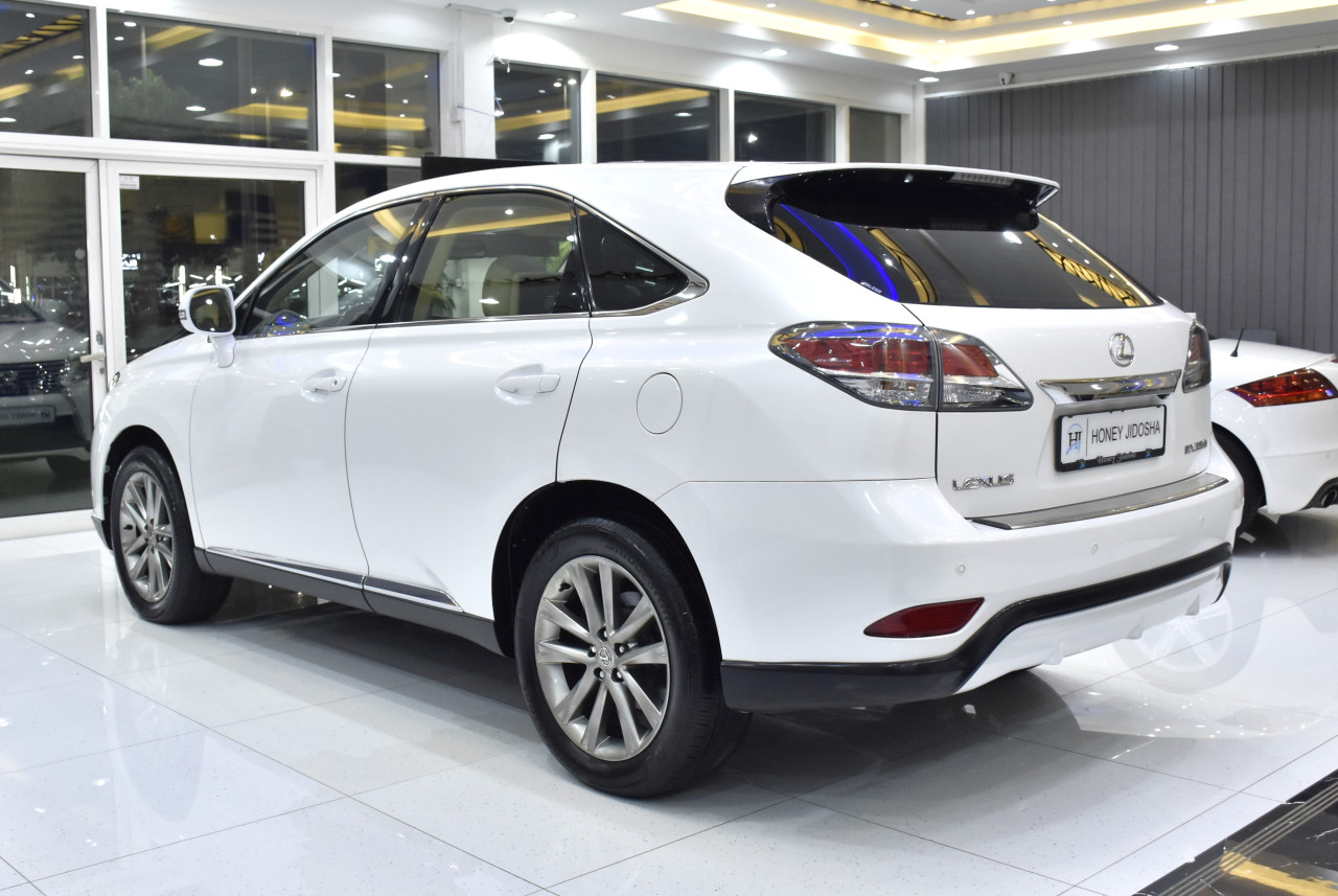 Lexus RX-Series - Image 7