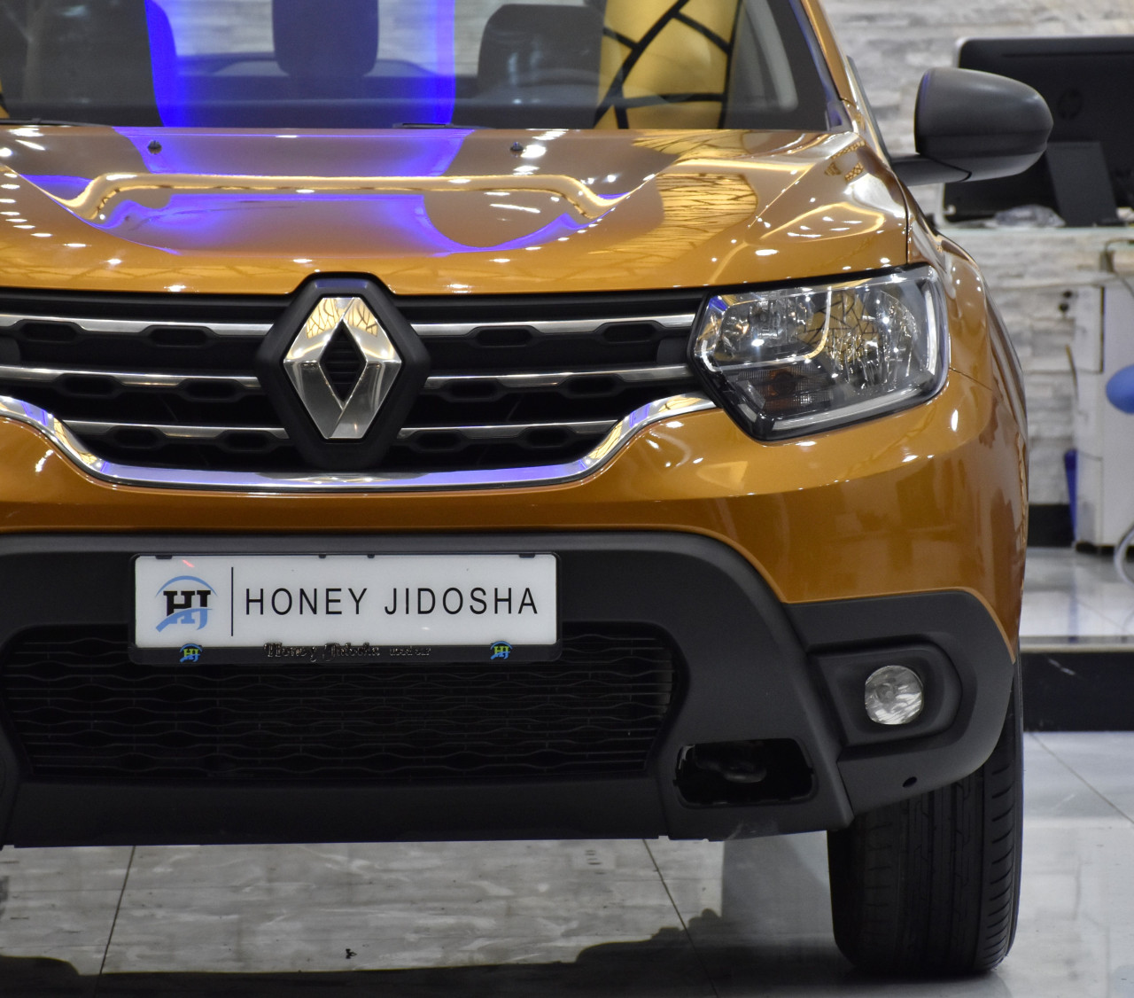 Renault Duster - Image 6