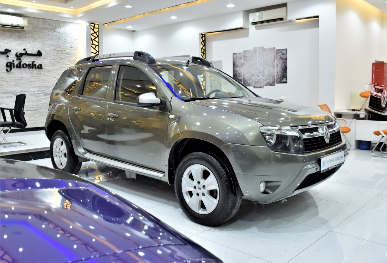 Renault Duster - Image 4