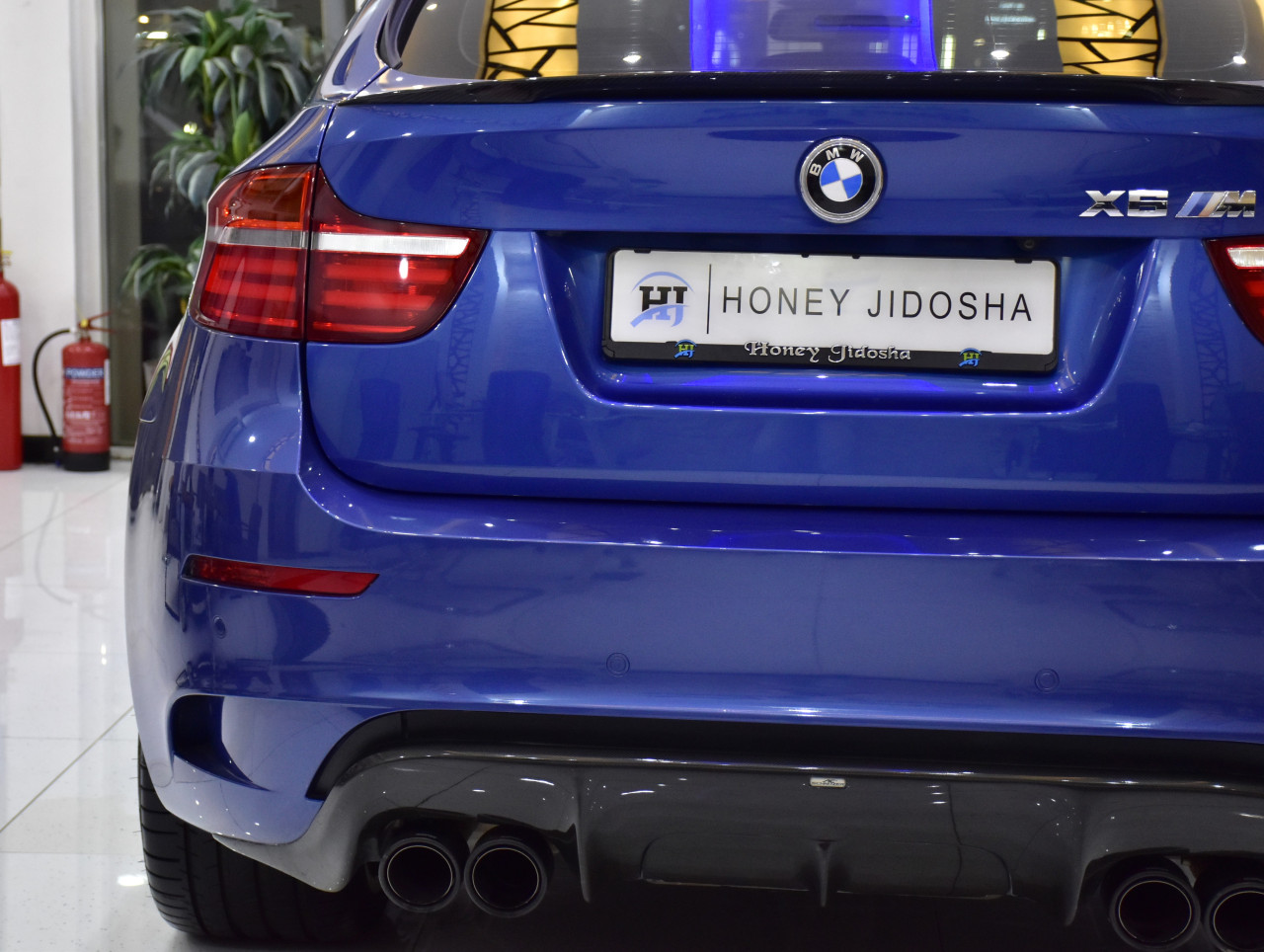 BMW X6 - Image 10