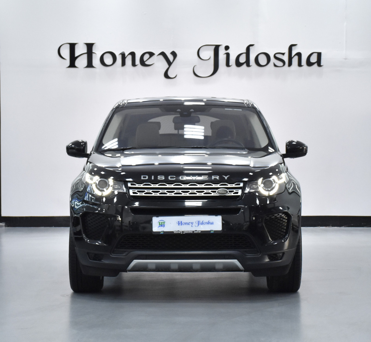 Land Rover Discovery - Image 3
