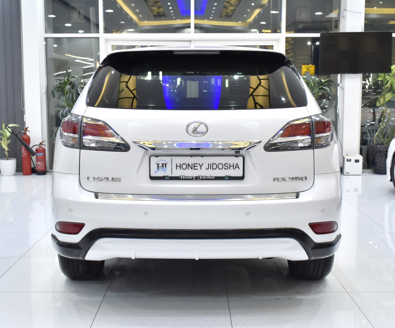 Lexus RX-Series - Image 8
