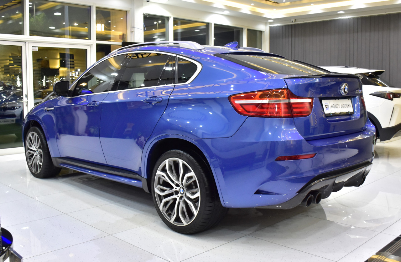 BMW X6 - Image 8