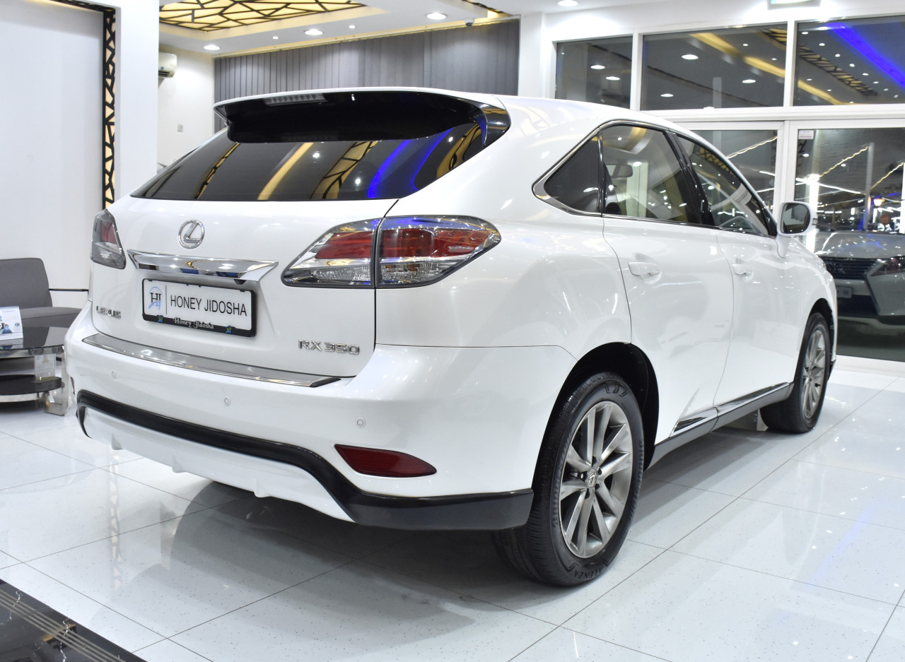 Lexus RX-Series - Image 6