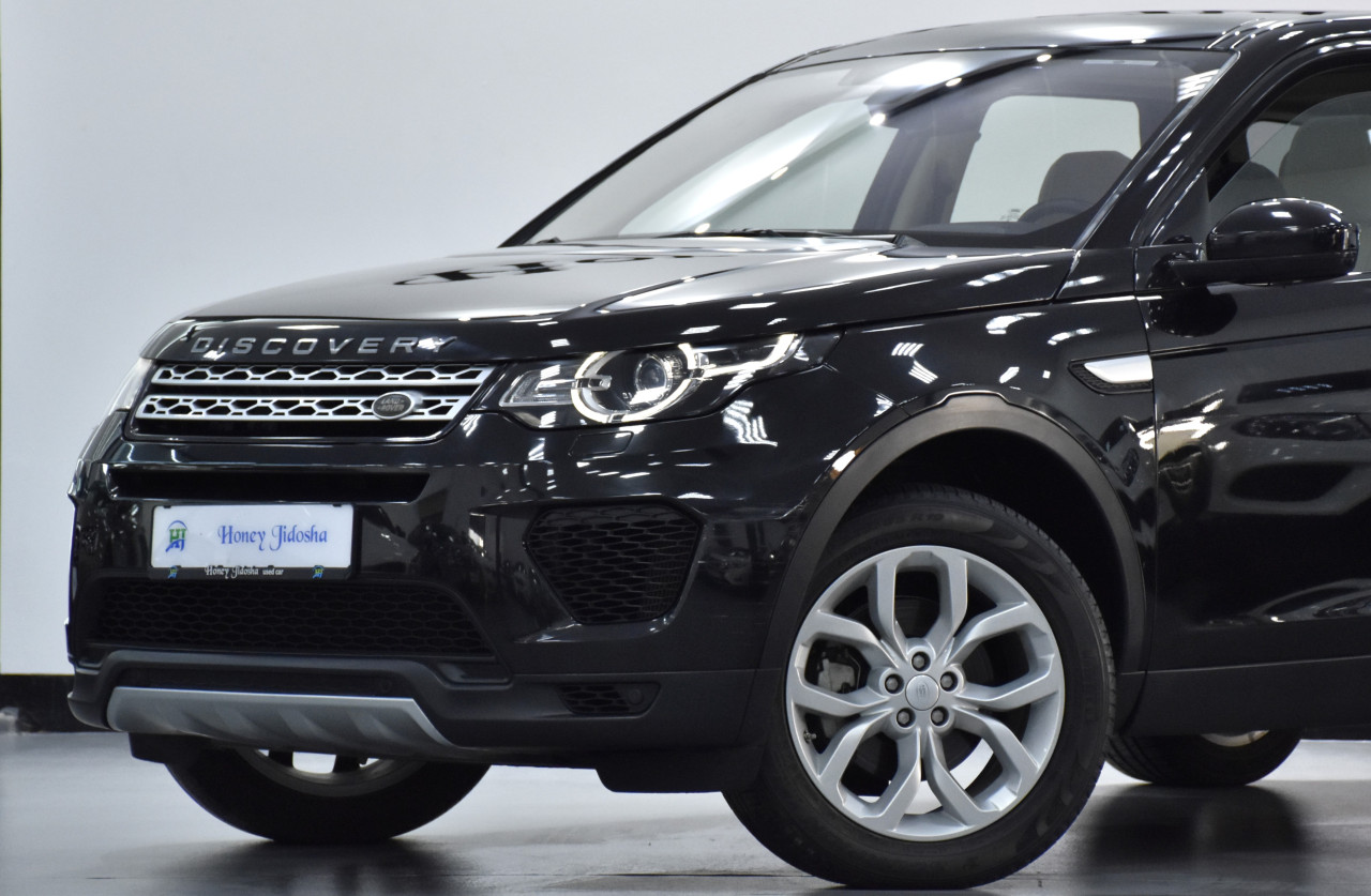 Land Rover Discovery - Image 6
