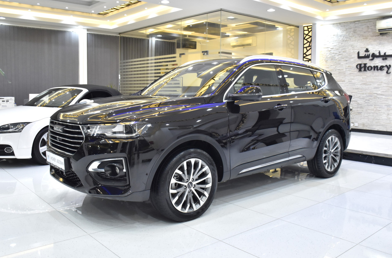 Haval H 6