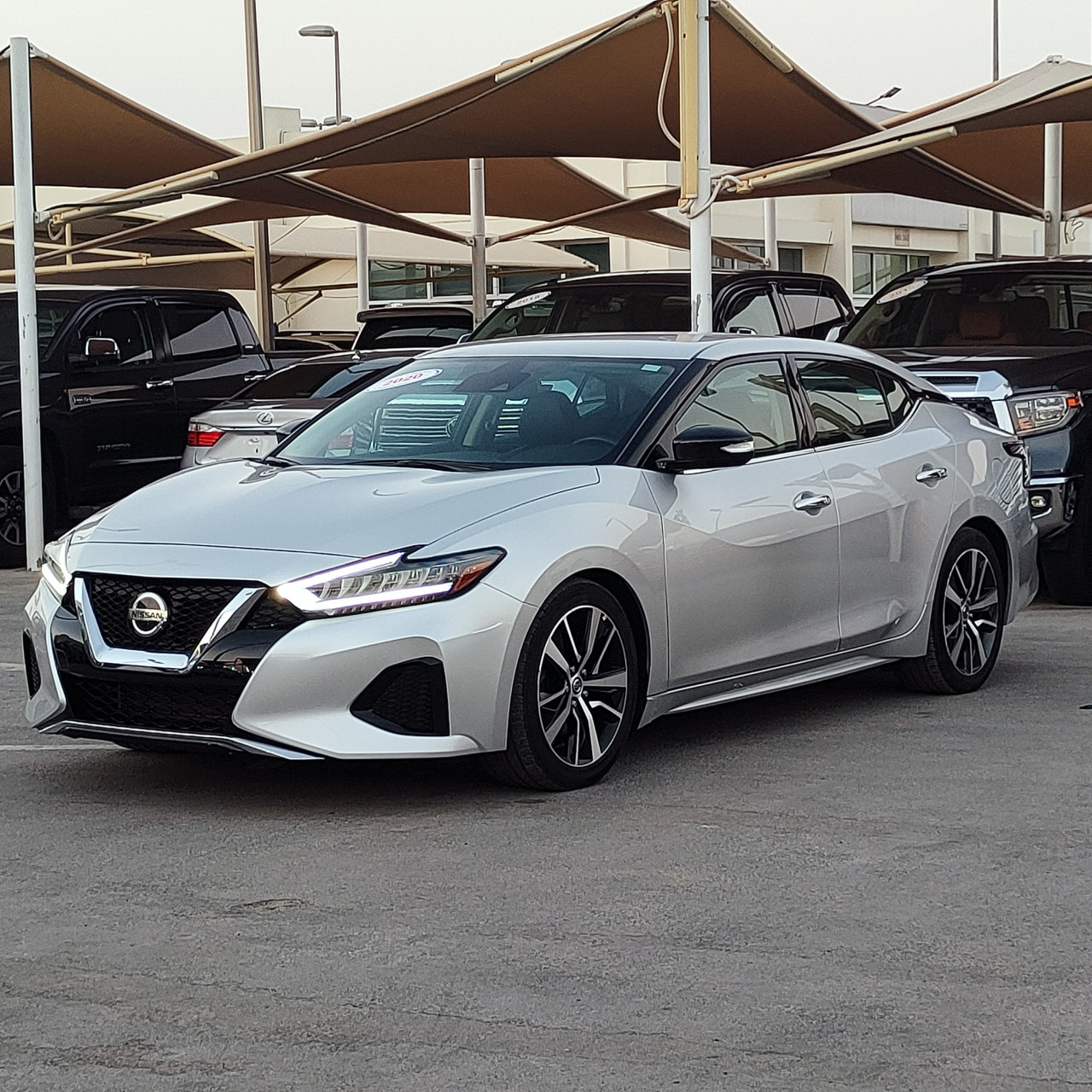 Nissan Maxima - Image 4