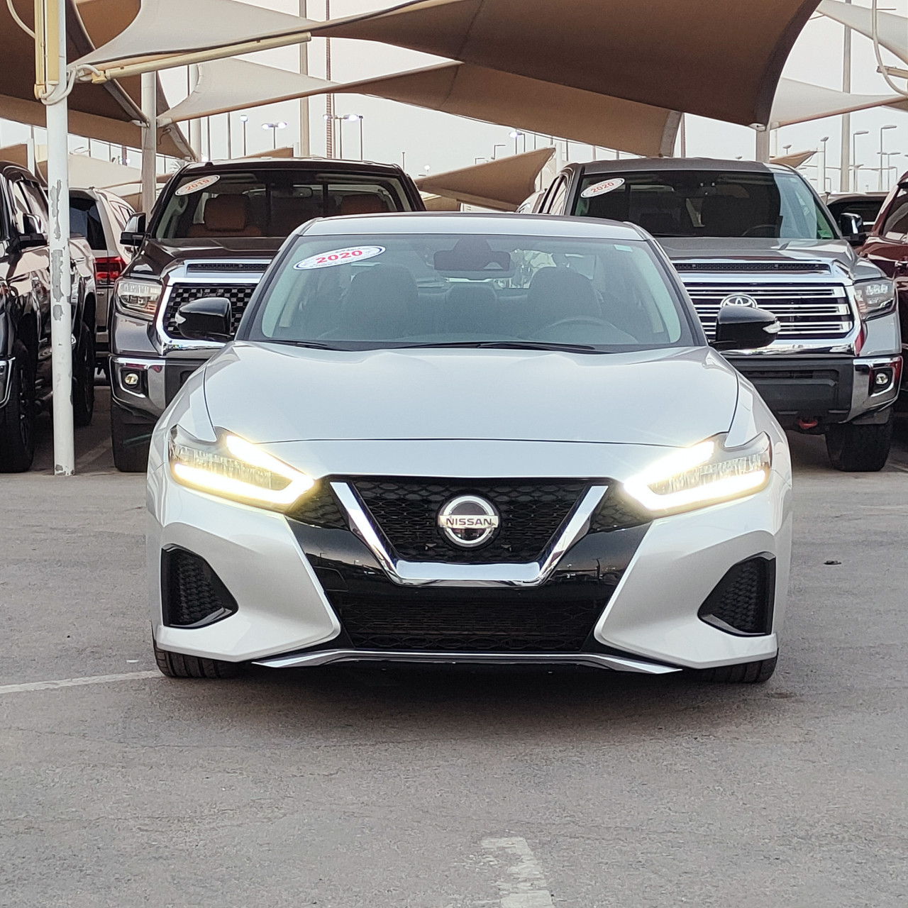 Nissan Maxima - Image 3