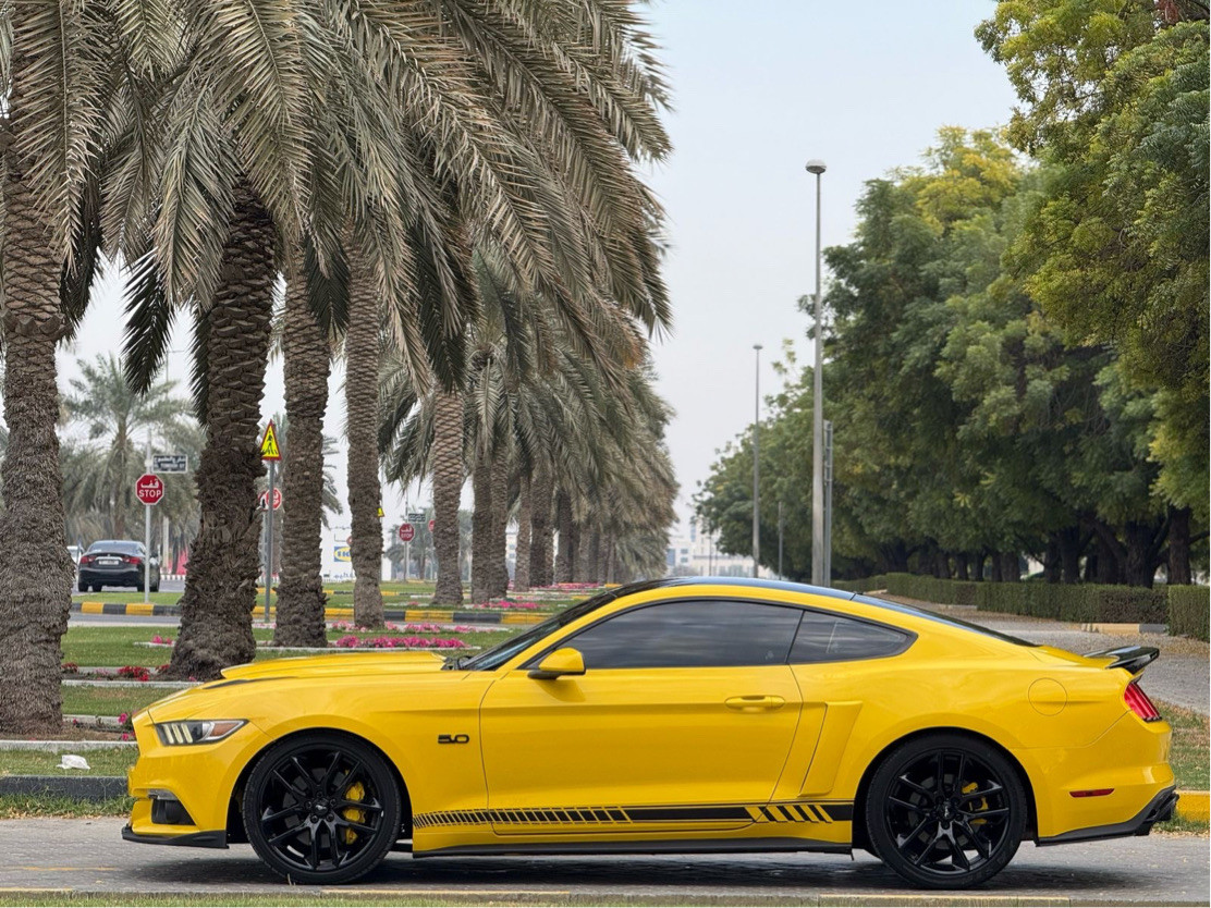 Ford Mustang - Image 3
