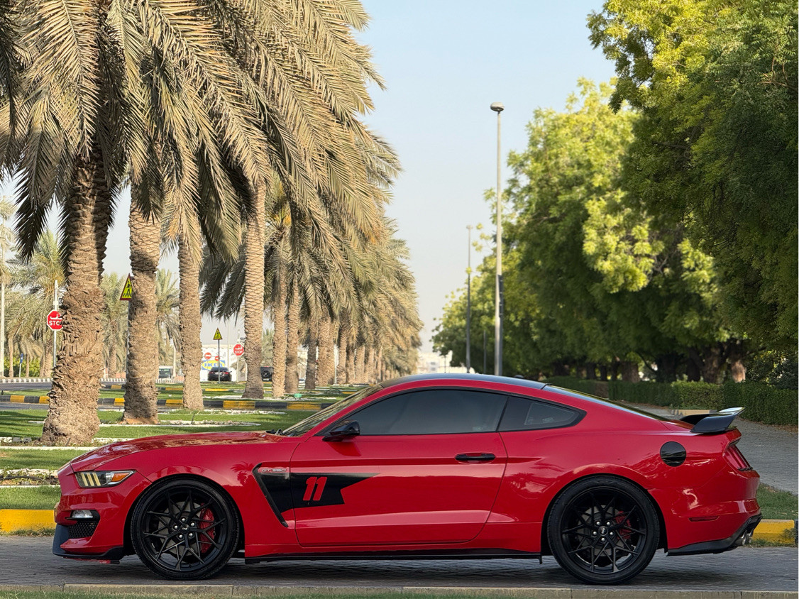 Ford Mustang - Image 3