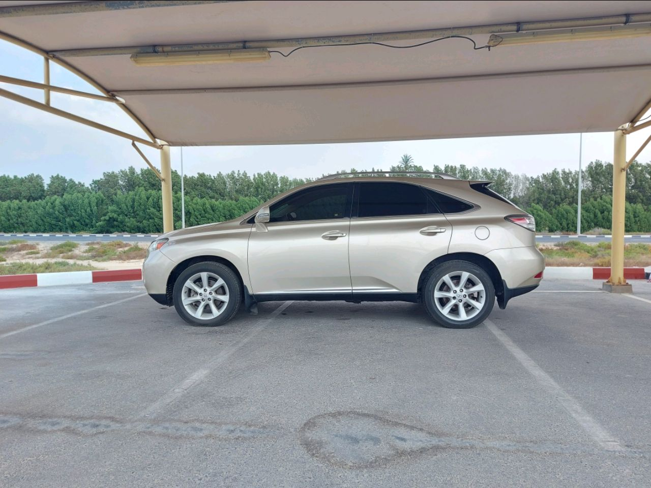 Lexus RX-Series - Image 5