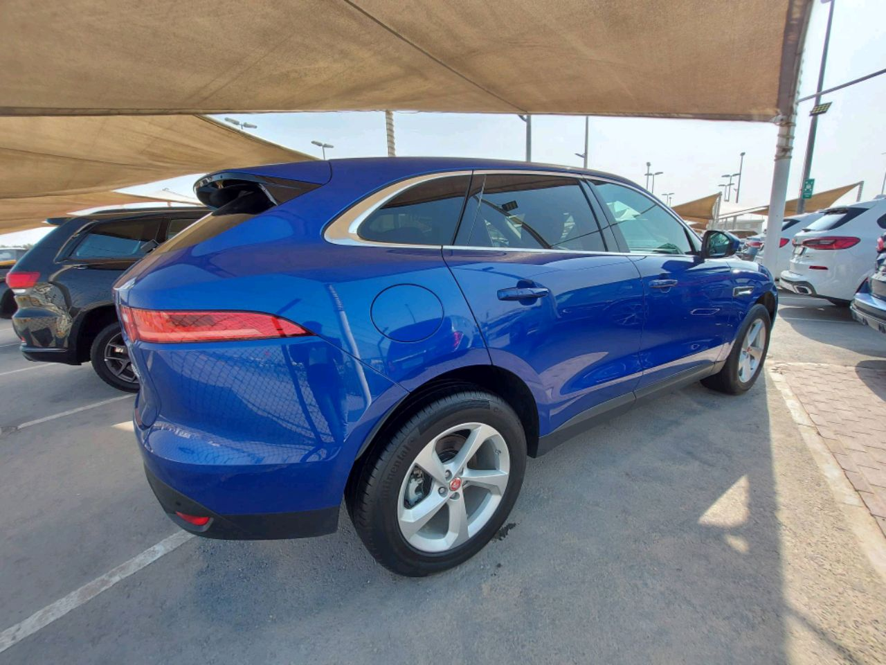 Jaguar F-Type - Image 5