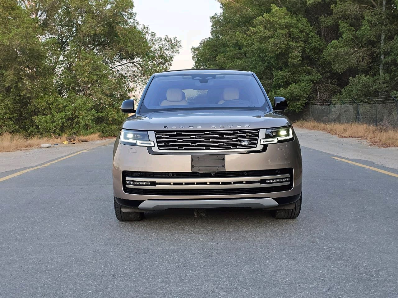 Land Rover LR4 - Image 4