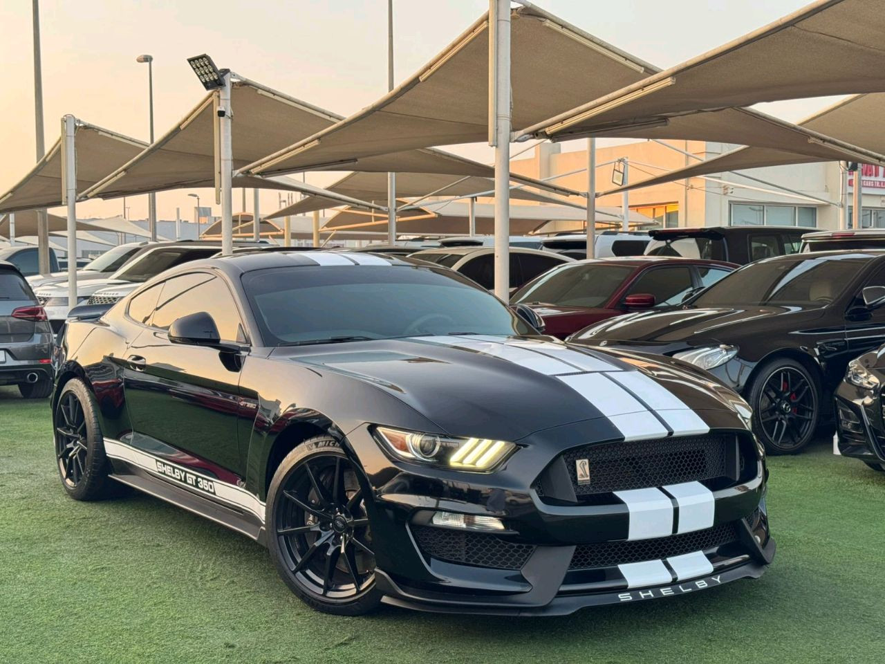 Ford Mustang - Image 5