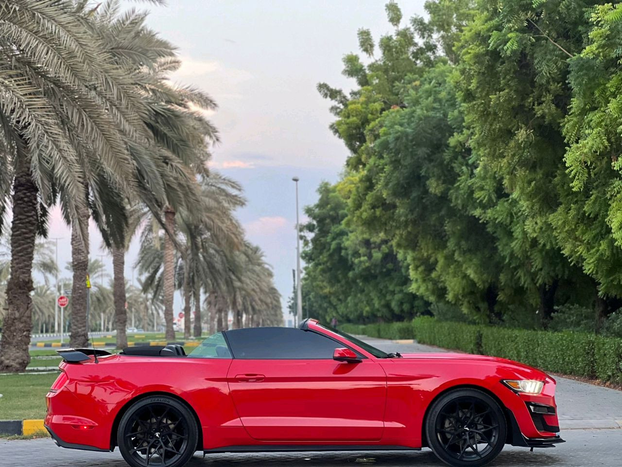 Ford Mustang - Image 3