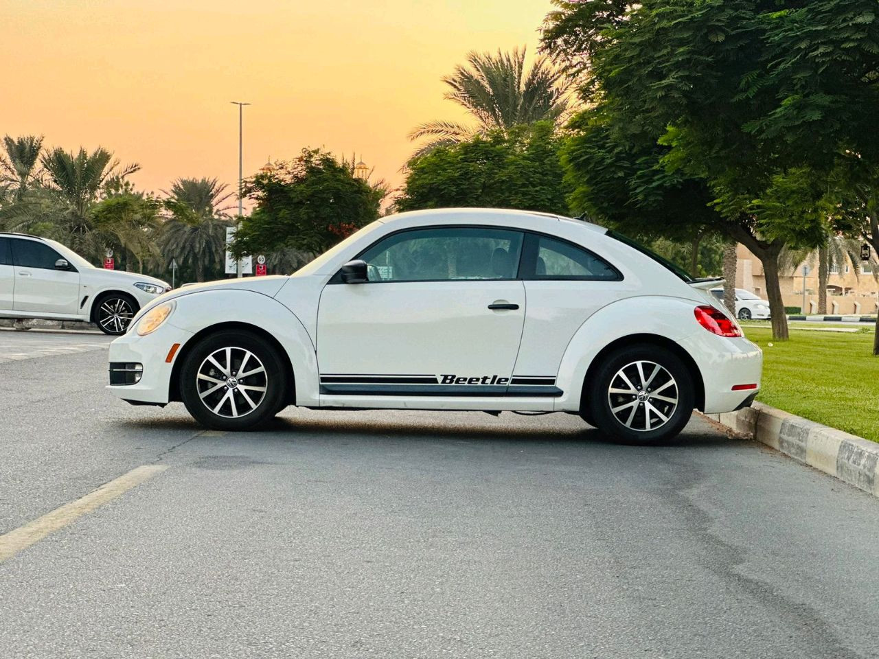 Volkswagen Beetle - Image 3
