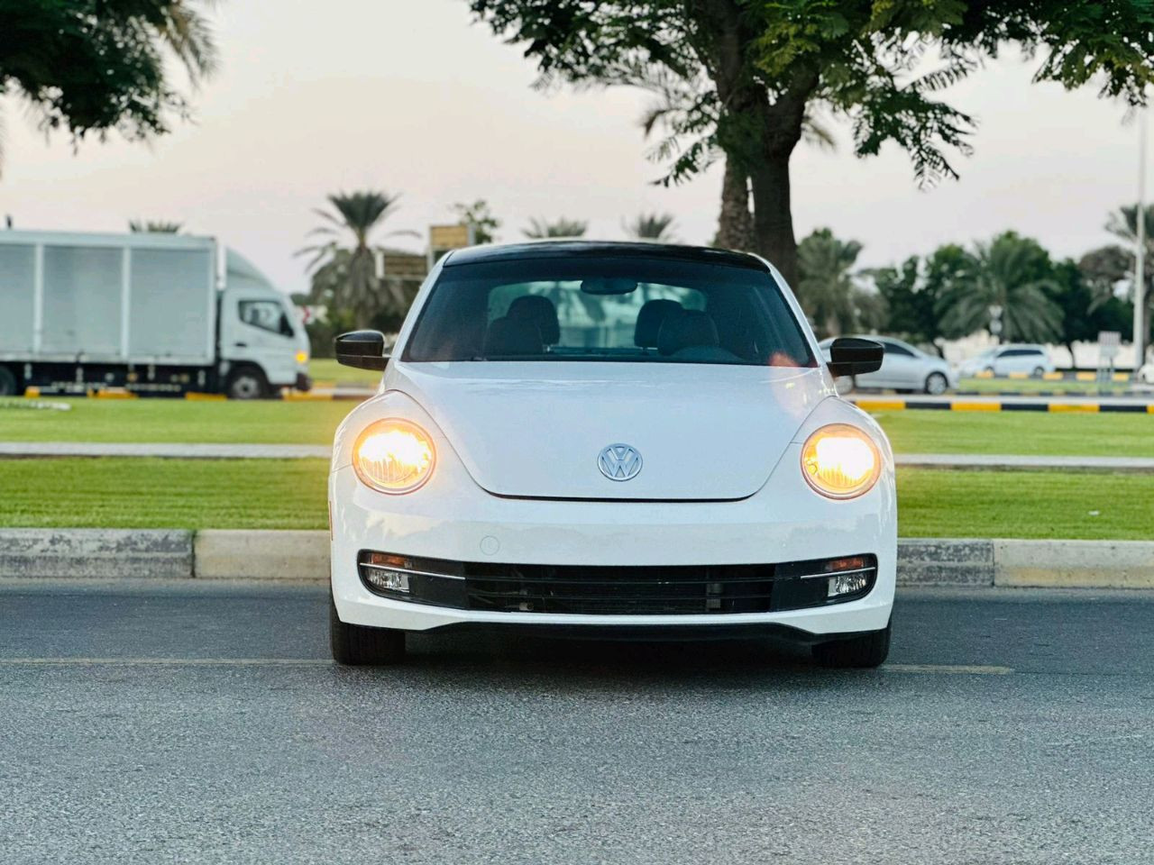 Volkswagen Beetle - Image 4