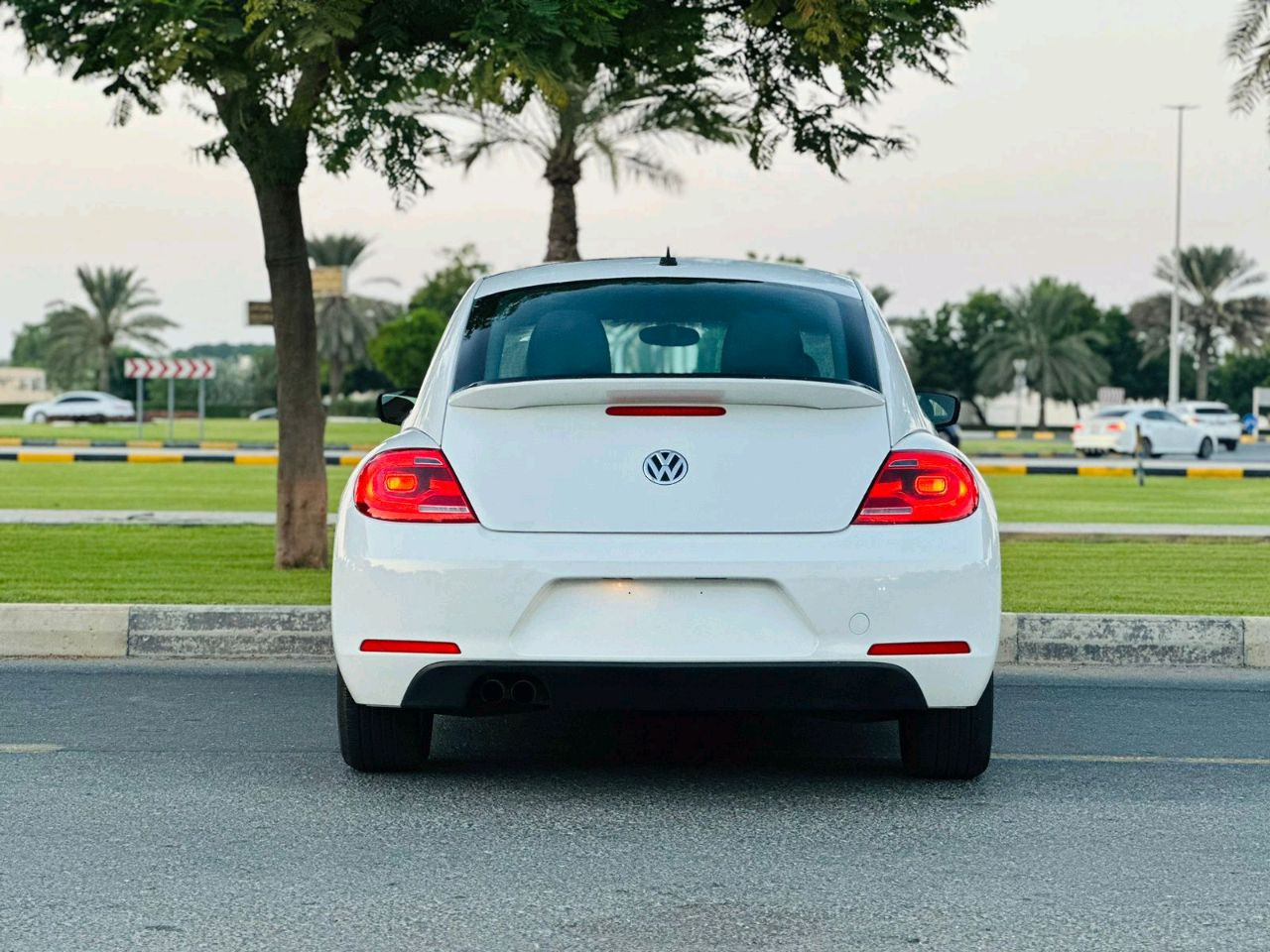 Volkswagen Beetle - Image 11