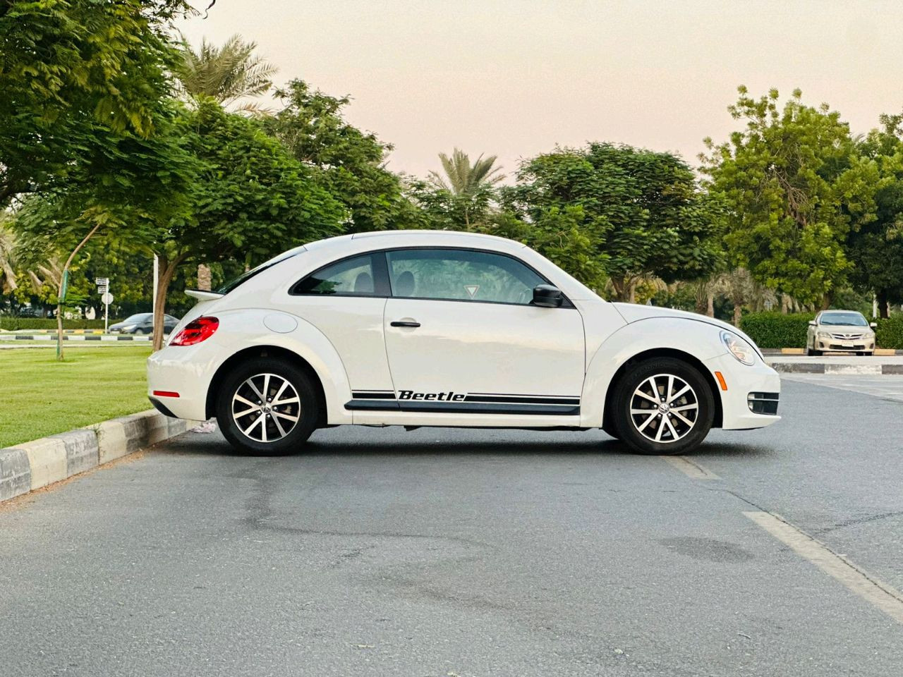 Volkswagen Beetle - Image 10