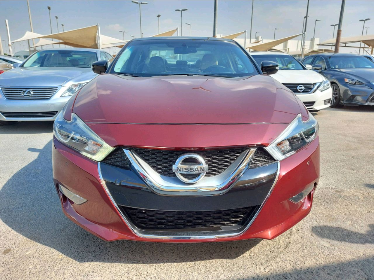 Nissan Maxima - Image 5