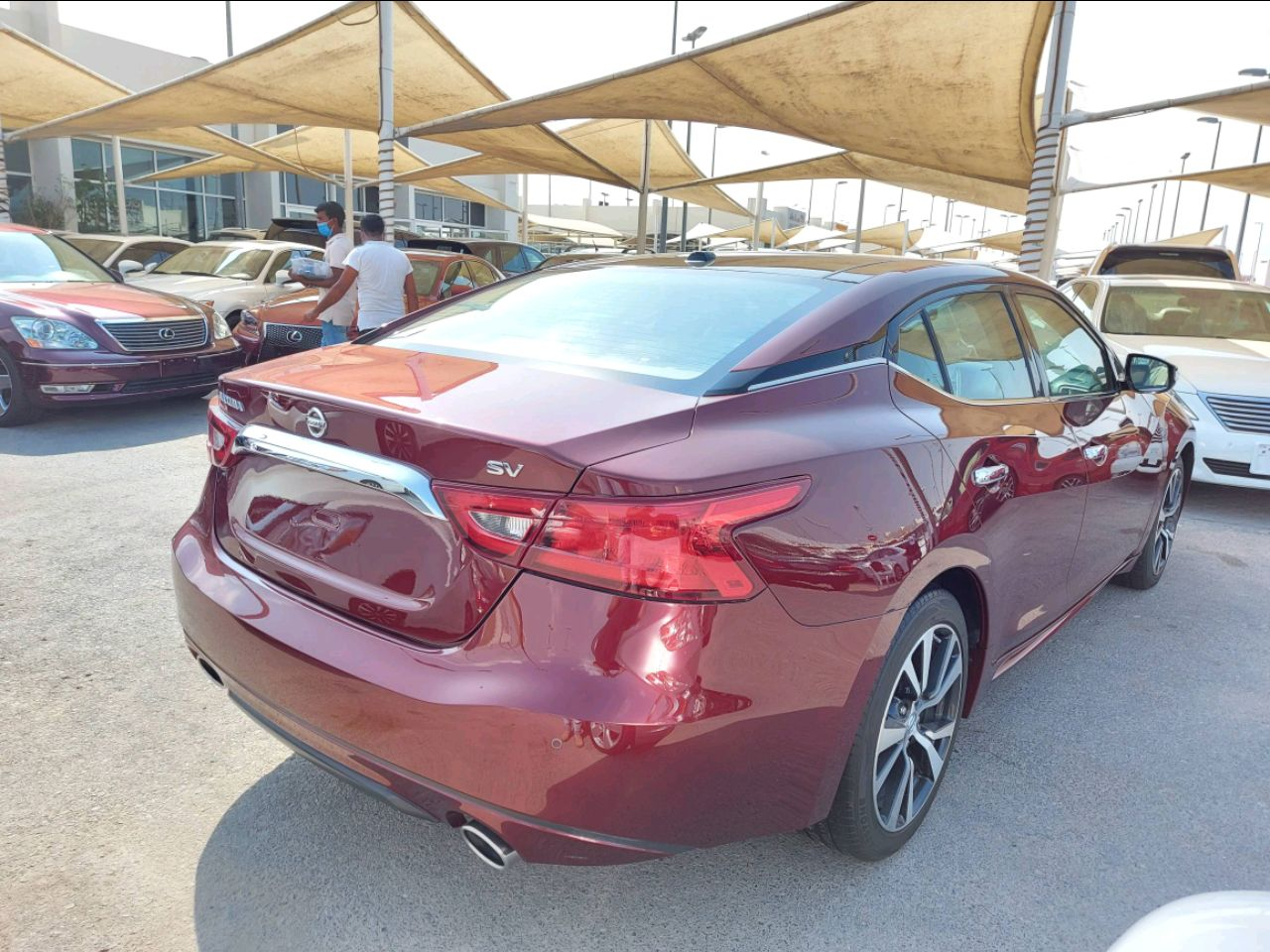 Nissan Maxima - Image 3