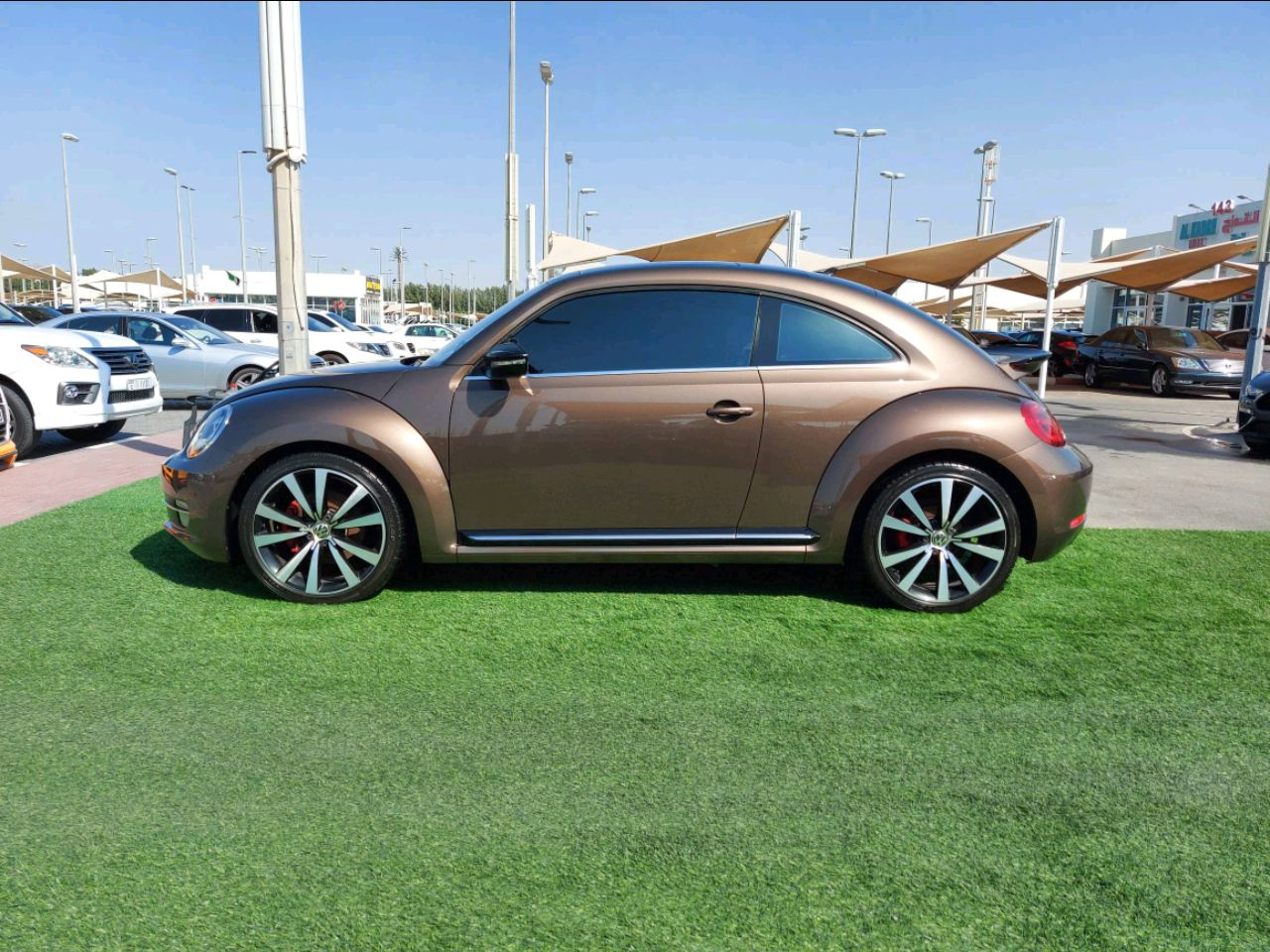 Volkswagen Beetle - Image 4