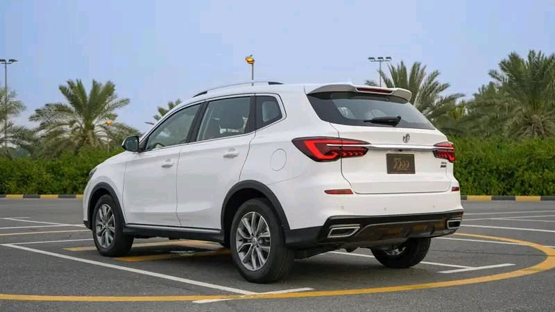 MG Rx 5 - Image 5