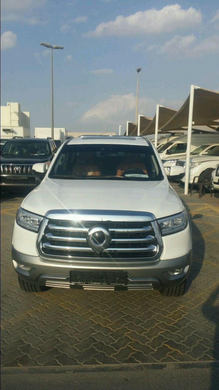 Great Wall Pickup - Image 6