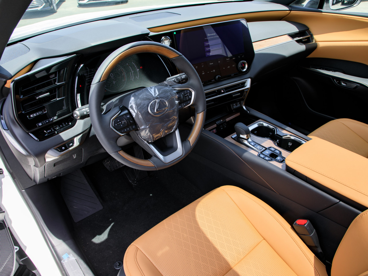 Lexus RX-Series - Image 3