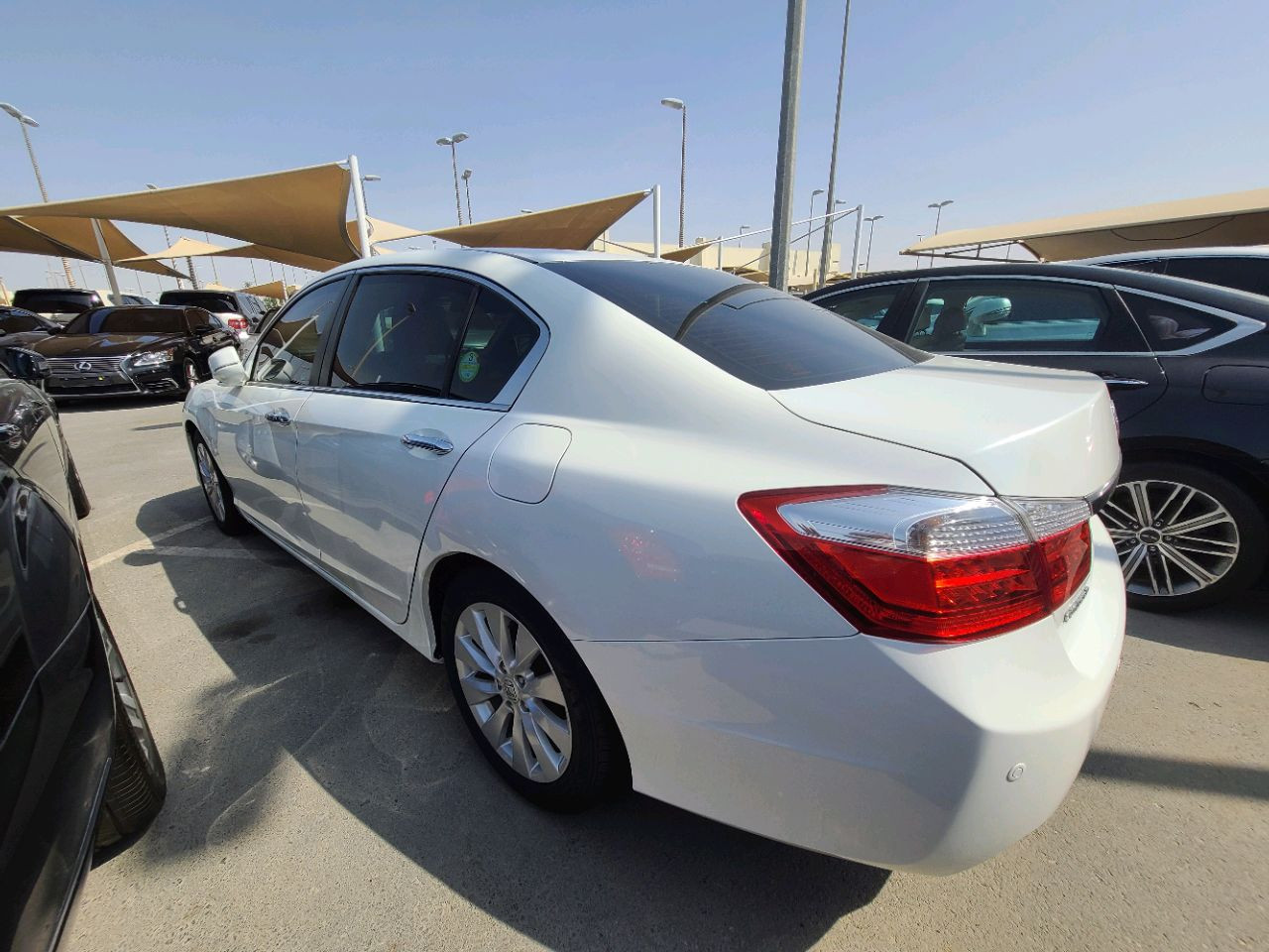 Honda Accord - Image 6