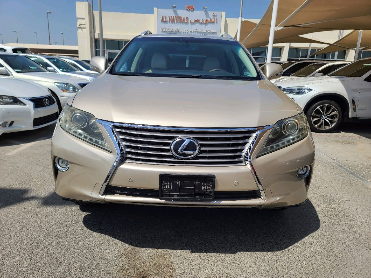 Lexus RX-Series - Image 10