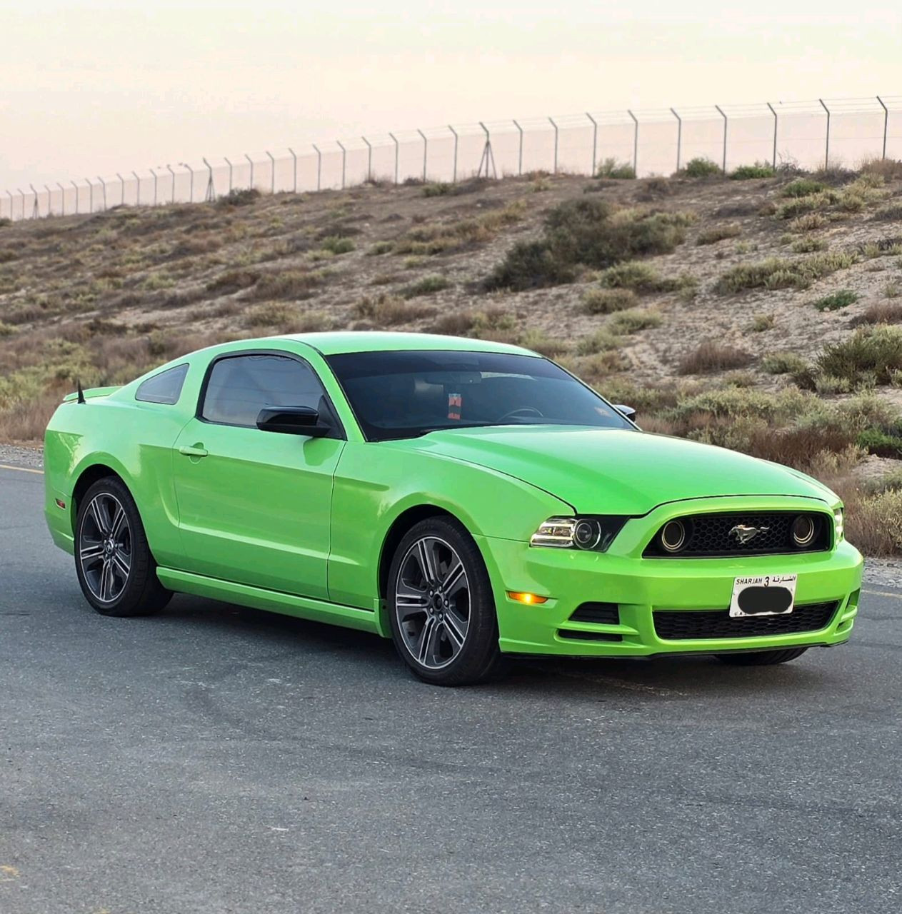 Ford Mustang - Image 7