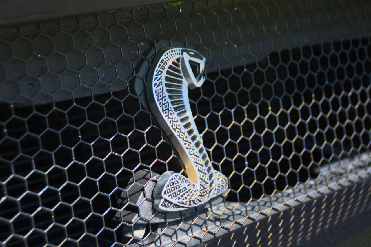 Ford Mustang - Image 10
