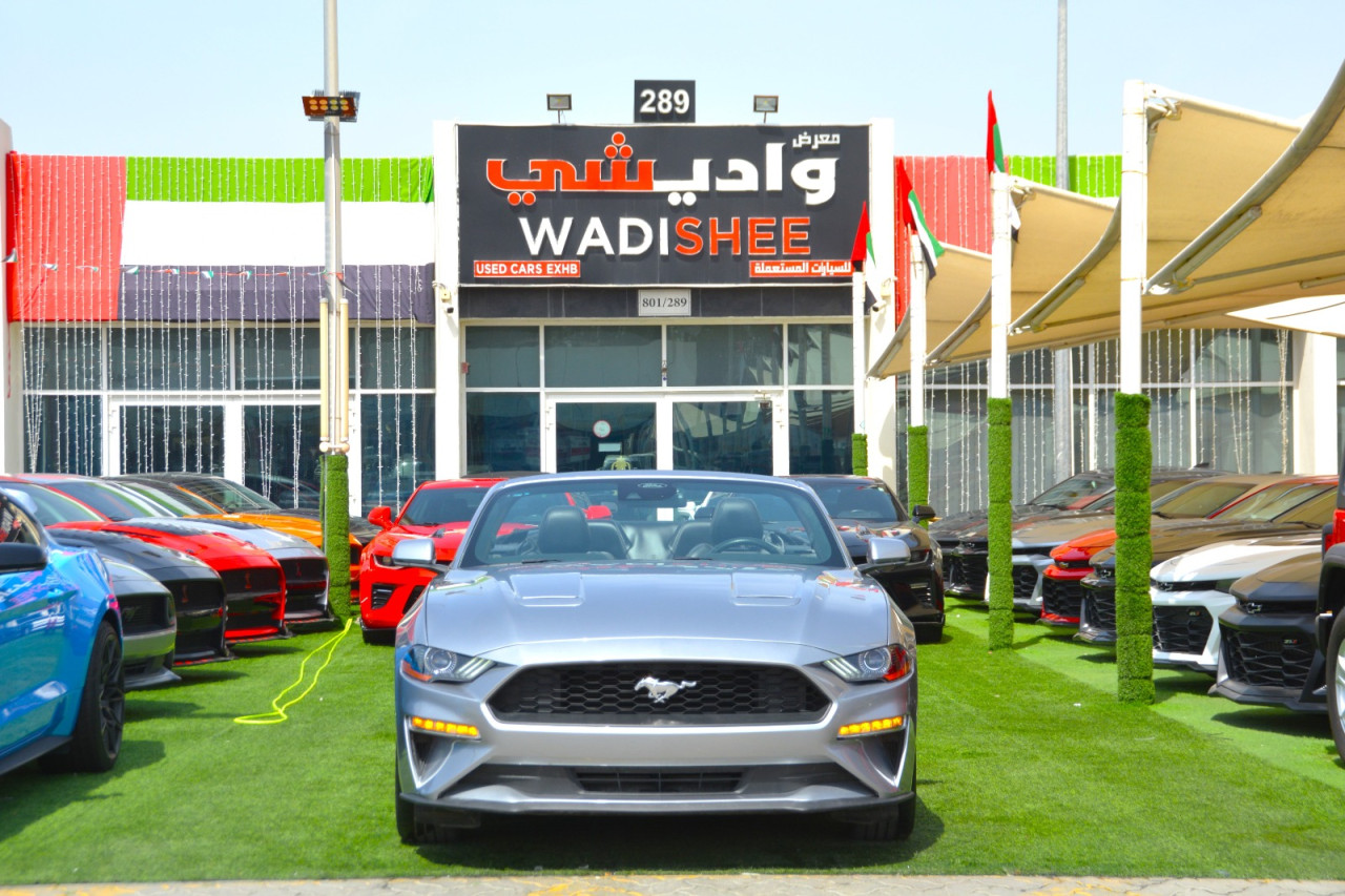 Ford Mustang - Image 17