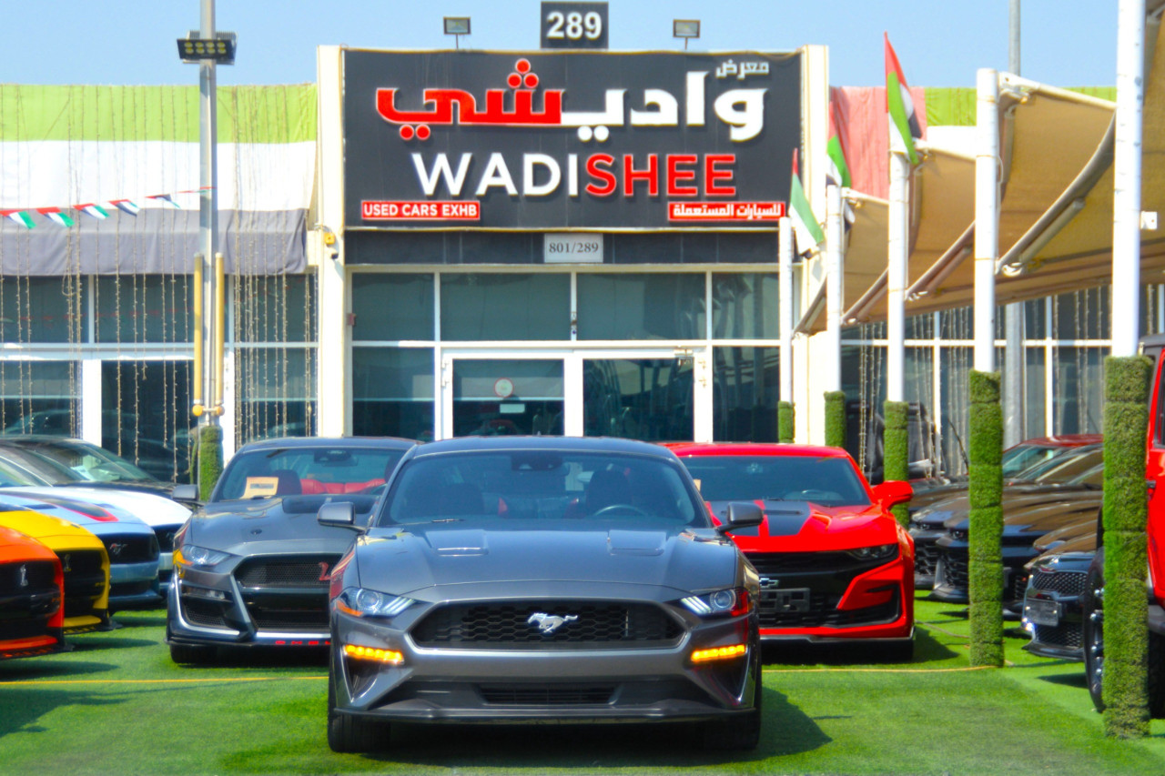 Ford Mustang - Image 3