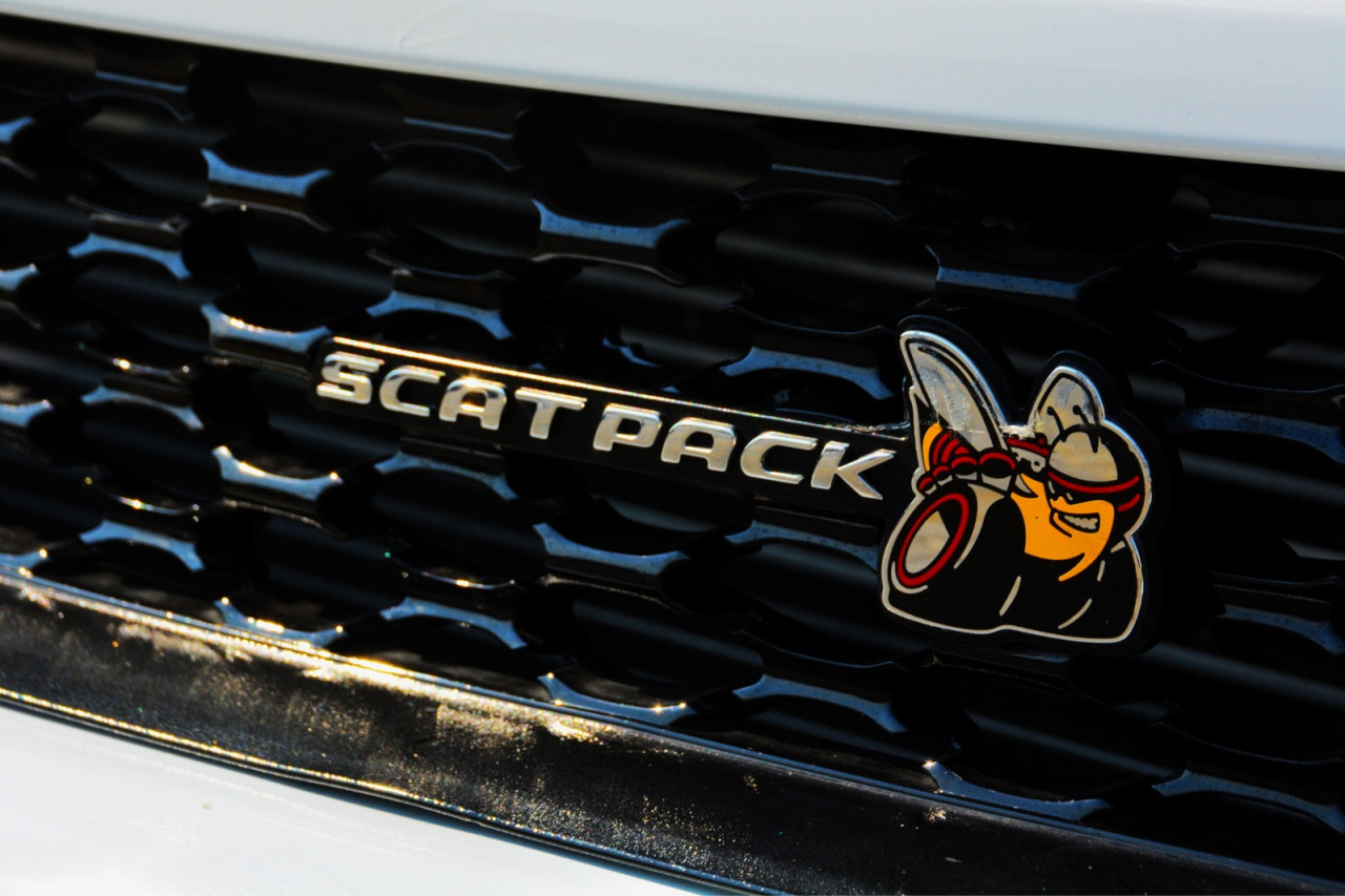 Dodge Charger - Image 10